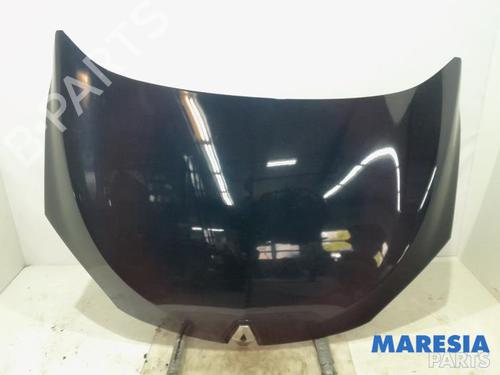Used Hood RENAULT MEGANE III Coupe (DZ0/1_) 2.0 TCe (DZ0K) (180 hp) 31502548
