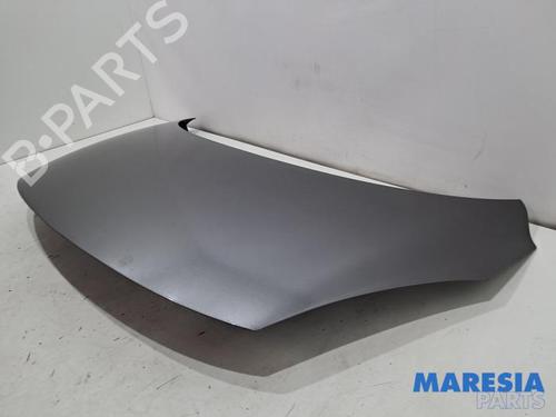 Hood RENAULT SCÉNIC III (JZ0/1_) 1.6 16V (JZ0U, JZ1B) | BP31672864C1 