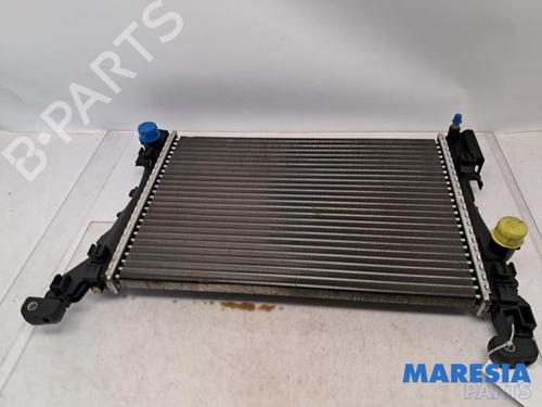 Used Water radiator FIAT GRANDE PUNTO (199_) 1.4 (199AXB11, 199AXB1A, 199BXB1A, 199AXL1A) (77 hp) 31424190