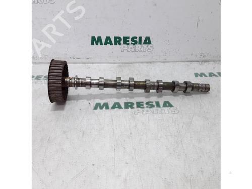 Used Other RENAULT LAGUNA II (BG0/1_) 1.6 16V (BG0A, BG0L) (107 hp) 31434838