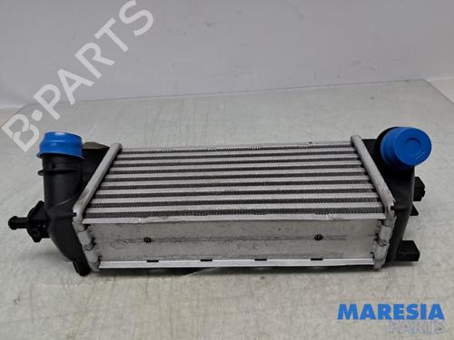 Intercooler FIAT 500 (312_) 0.9 (312AXN1A) (80 hp) 32197243