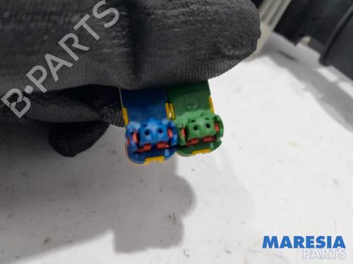 Switch RENAULT SCÉNIC III (JZ0/1_) 2.0 16V (JZ0G, JZ0P, JZ1E, JZ1P) | BP31509634I30 