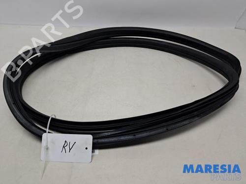 Türkonturgummi für FIAT 500 (312_) 1.2 (312AXA1A) (69 hp) 31816701