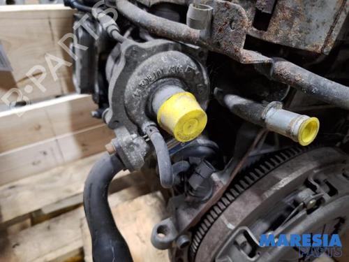 Engine FIAT PANDA (169_) 1.3 D Multijet (169.AXC1A) | BP31521097M1  - Image 7