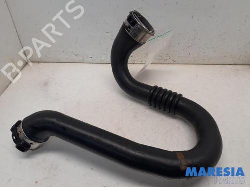 Used Exhaust system RENAULT MEGANE III Grandtour (KZ0/1) 1.4 TCe (KZ0F, KZ1V) (130 hp) 31404533