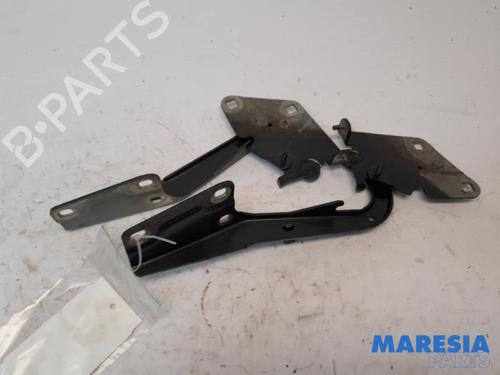 Used Hinge/Door check strap RENAULT MEGANE III Hatchback (BZ0/1_, B3_) 1.6 16V (BZ1B, BZ1H) (110 hp) 31502177