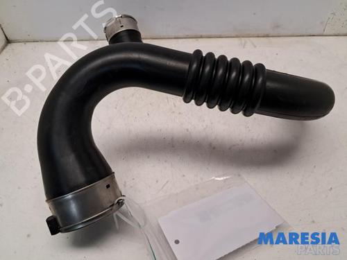 Exhaust system RENAULT SCÉNIC III (JZ0/1_) 1.4 16V (JZ0F, JZ1V) | BP31464856M121