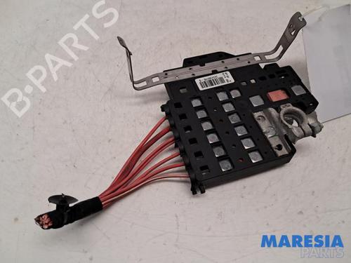 Sikringsdåse RENAULT ZOE Hatchback Van (BFM_) Electric (BFME) (92 hp) 31497613