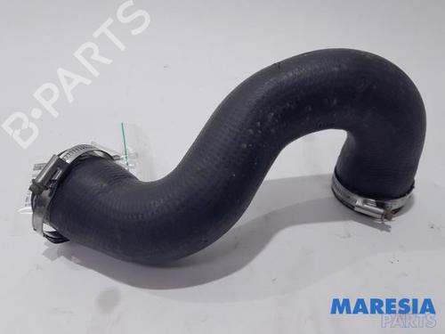 Pipe CITROËN C5 III Break (RW_) 2.7 HDi | BP31497986M125 - Image 2