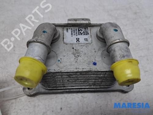Used Oil radiator Oil radiator RENAULT CAPTUR II (HF_) TCe 160 (HFN1) (158 hp) 40528576 40528576