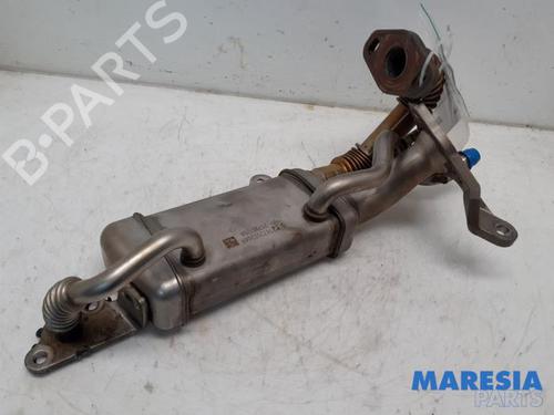 Used Egr RENAULT SCÉNIC III (JZ0/1_) 1.5 dCi (110 hp) 31417539