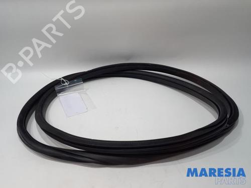 Gummiliste CITROËN C3 III (SX) 1.2 VTi 82 | BP31461927C142 - Image 3