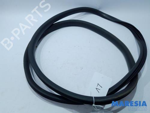 Gummiliste RENAULT ZOE (BFM_) ZOE (88 hp) 31419621