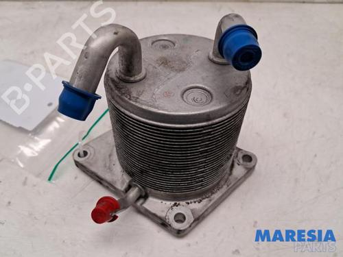 Used Oil radiator RENAULT SCÉNIC III (JZ0/1_) 2.0 16V (JZ0G, JZ0P, JZ1E, JZ1P) (140 hp) 31492822