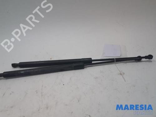 tailgate-lift-support-peugeot-207-sw-wk_-2007-2008-2009-2010-2011-2012-2013-31477719 main image