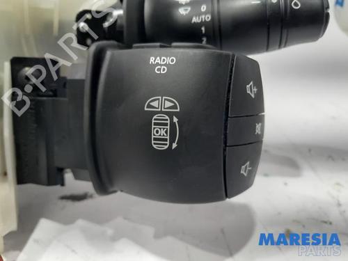 Switch RENAULT SCÉNIC III (JZ0/1_) 2.0 16V (JZ0G, JZ0P, JZ1E, JZ1P) | BP31509634I30 