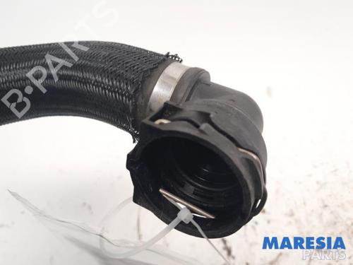 Other ALFA ROMEO STELVIO (949_) 2.0 Q4 (949.AXA2A) | BP31446687O1