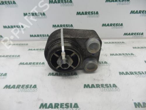 Used Oil radiator RENAULT SCÉNIC II (JM0/1_) 1.5 dCi (JM1F) (86 hp) 31460604