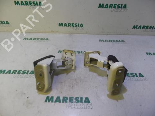 hingedoor-check-strap-peugeot-expert-van-vf3a_-vf3u_-vf3x_-2007-31429559 main image