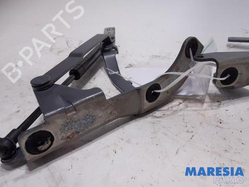 Hinge/Door check strap FIAT 500 C (312_) 1.2 (312CXA1A, 312AXA1A) | BP31429960C146