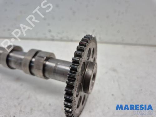 Other FIAT PUNTO (199_) 0.9 | BP31402331O1 