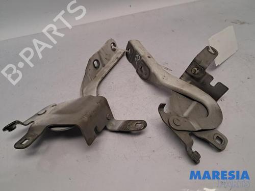 Used Hinge/Door check strap RENAULT CLIO IV (BH_) 0.9 TCe 90 (BHNF, BHMA, BHMH, BHJK, BHJR) (90 hp) 31530972