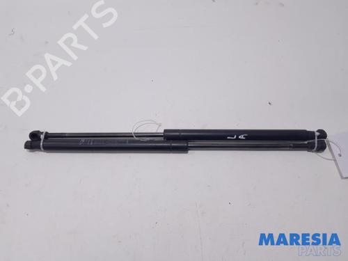 tailgate-lift-support-fiat-punto-evo-199_-2008-31437231 main image