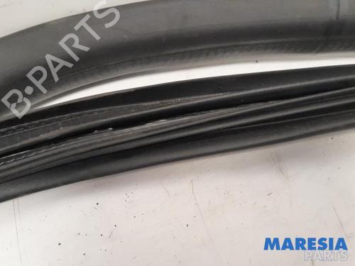 Gummiliste RENAULT ZOE (BFM_) ZOE | BP31442346C142