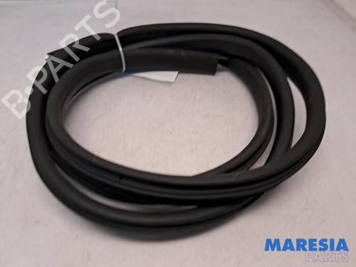 Gummiliste DACIA SANDERO II TCe 90 (B8M1, B8MA, B8AC) | BP31396442C142 - Image 2