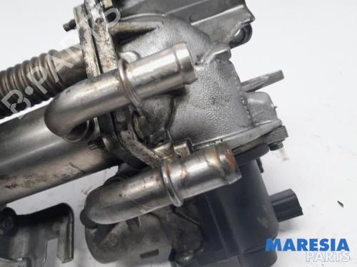 Egr RENAULT SCÉNIC III (JZ0/1_) 1.5 dCi | BP31517730M69 