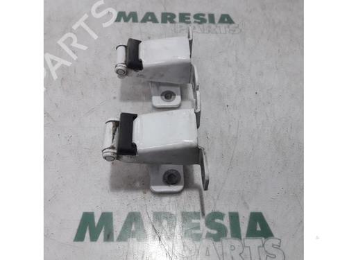 hingedoor-check-strap-renault-kangoo-express-fw01_-2008-31431323 main image