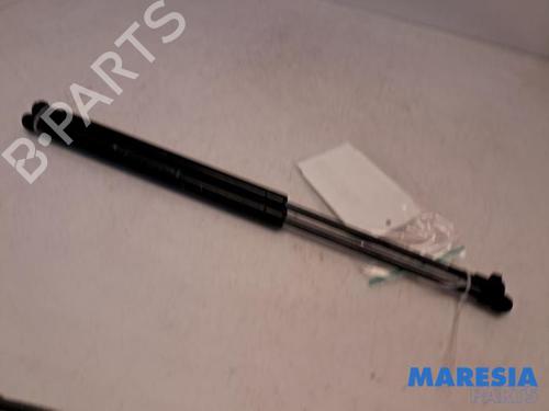 BP31412318C138 main image