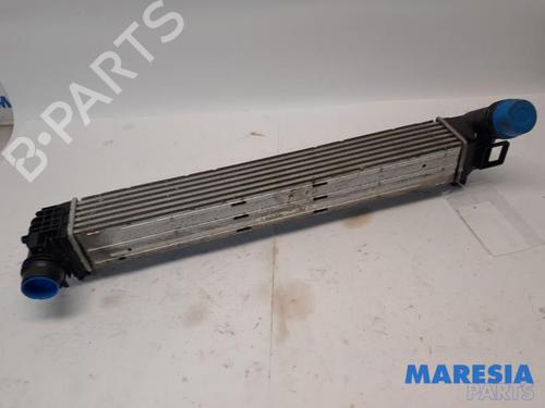 Used Intercooler RENAULT MEGANE III Grandtour (KZ0/1) 1.4 TCe (KZ0F, KZ1V) (130 hp) 31503722
