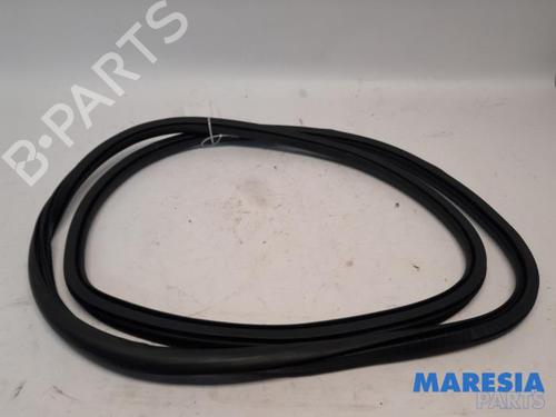 Gummiliste CITROËN C4 Picasso II 1.6 THP 155 (156 hp) 31529344