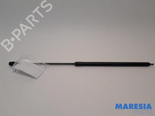 tailgate-lift-support-renault-megane-iii-coupe-dz01_-2008-2009-2010-2011-2012-2013-2014-2015-2016-31494006 main image