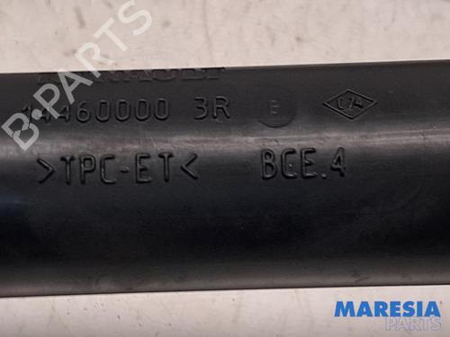 Exhaust system RENAULT SCÉNIC III (JZ0/1_) 1.4 16V (JZ0F, JZ1V) | BP31464856M121