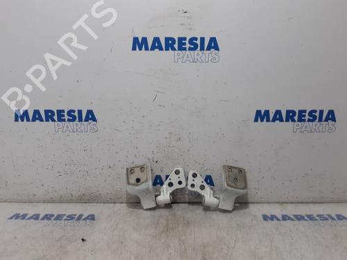 Dørhængsel/Dørbegrænser CITROËN BERLINGO Box Body/MPV (B9) 1.6 HDi 90 (90 hp) 31505310