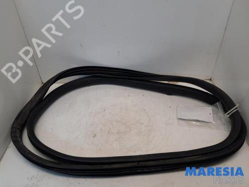 Gummiliste RENAULT ZOE (BFM_) ZOE | BP31442346C142