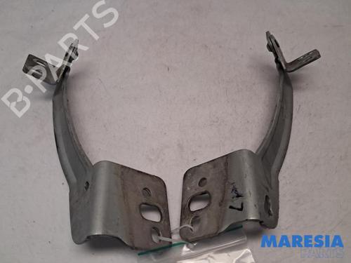 Used Hinge/Door check strap RENAULT KANGOO / GRAND KANGOO II (KW0/1_) 1.6 16V (KW03, KW09, KW0D, KW0U, KW0W, KW13) (106 hp) 31433909