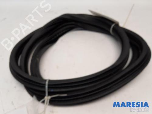 Gummiliste CITROËN C4 Grand Picasso I (UA_) 2.0 i 16V (140 hp) 31446269