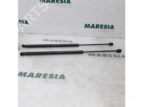 tailgate-lift-support-citroen-c4-grand-picasso-i-ua_-2006-2007-2008-2009-2010-2011-2012-2013-31519010 main image