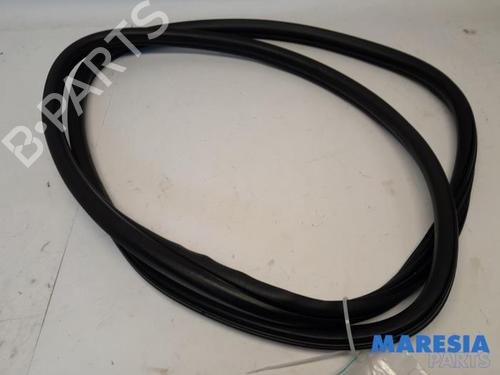 Gummilist DS DS 4 / DS 4 CROSSBACK (NX_) 1.6 BlueHDi 120 (120 hp) 31479253