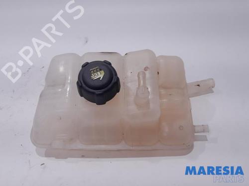 Ekspansjonstank RENAULT TRAFIC III Van (FG_) 1.6 dCi 115 (FGMD) (116 hp) 31485255