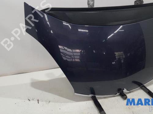 Hood CITROËN C4 Picasso I MPV (UD_) 1.6 16V | BP31469946C1 