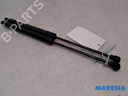 Used Tailgate lift support RENAULT CLIO IV Grandtour (KH_) 1.5 dCi 90 (KHN3, KHN4) (90 hp) 31442094