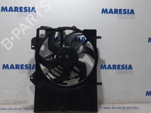 Used Pipe CITROËN C3 II (SC_) 1.6 HDi (92 hp) 31494365