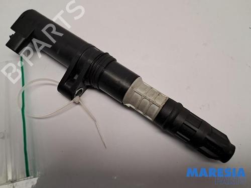 Used Ignition coil RENAULT CLIO III (BR0/1, CR0/1) 1.4 16V (98 hp) 31424676