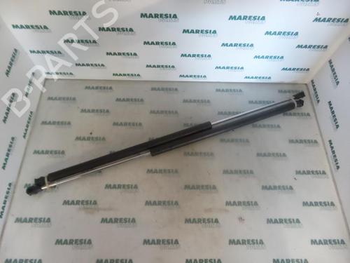 Gasdæmper bagklap CITROËN BERLINGO / BERLINGO FIRST Box Body/MPV (M_) 1.9 D 70 (MBWJZ, MCWJZ) (69 hp) 31427121