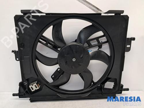 Pipe RENAULT TWINGO III (BCM_, BCA_) 1.0 SCe 70 | BP31528219M125