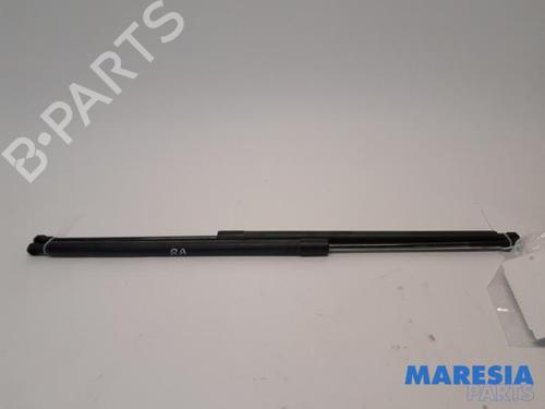 Used Tailgate lift support RENAULT GRAND SCÉNIC III (JZ0/1_) 2.0 16V (JZ0G) (140 hp) 31385560